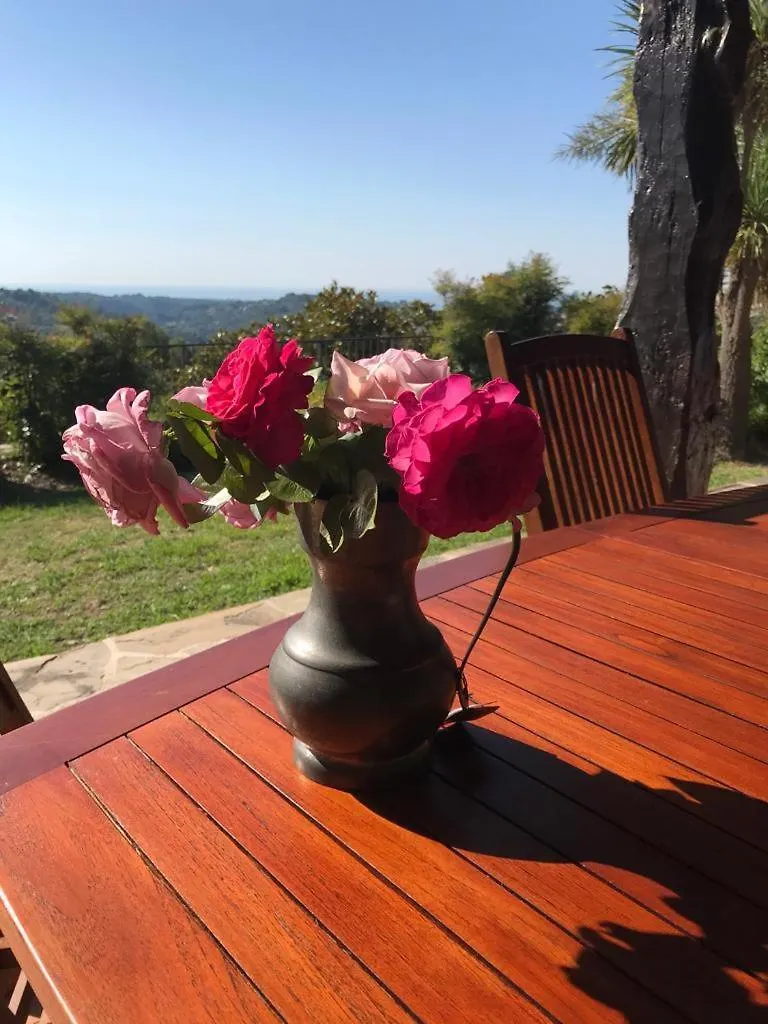 Superb Provencal House Villa Vence
